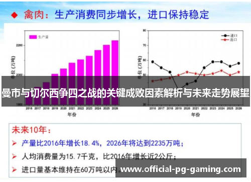 曼市与切尔西争四之战的关键成败因素解析与未来走势展望